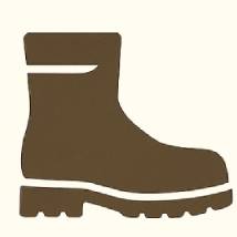 Botas